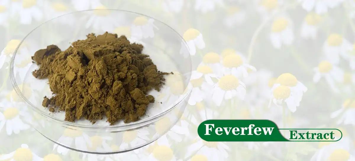 Feverfew Powder.jpg